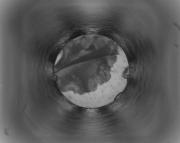 X0000091350573200708241249
