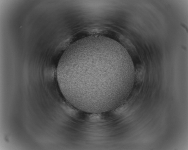 X0000091350574200708241249