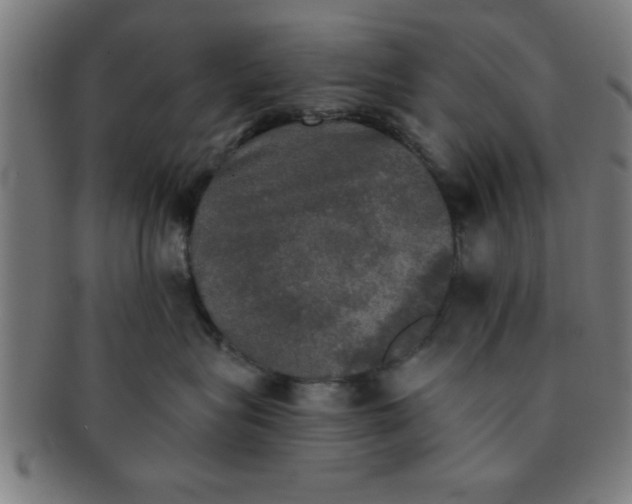 X0000091350575200708241249