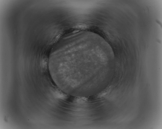 X0000091350576200708241249