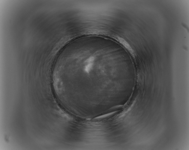 X0000091350577200708241249