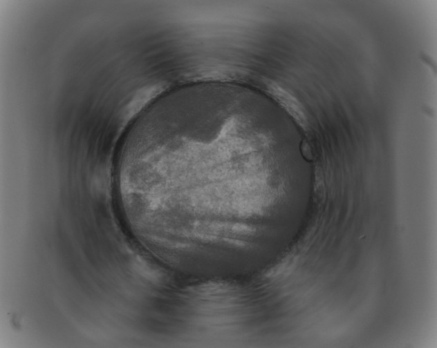 X0000091350578200708241249