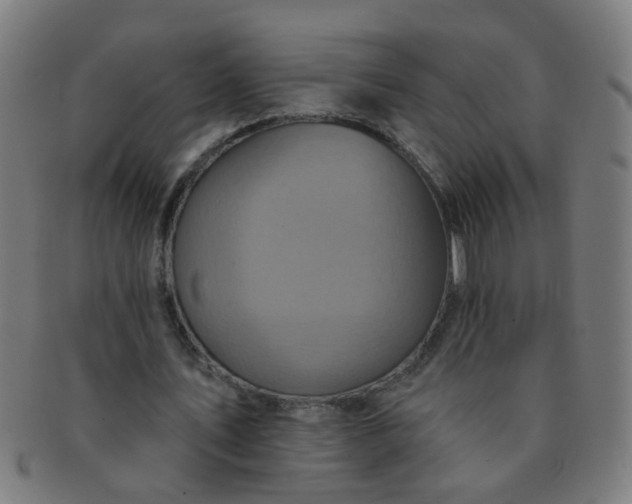 X0000091350579200708241249