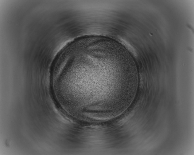 X0000091350580200708241249