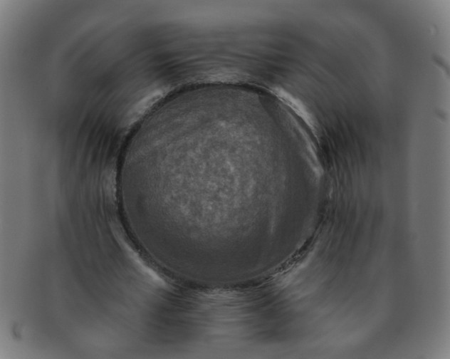 X0000091350581200708241249