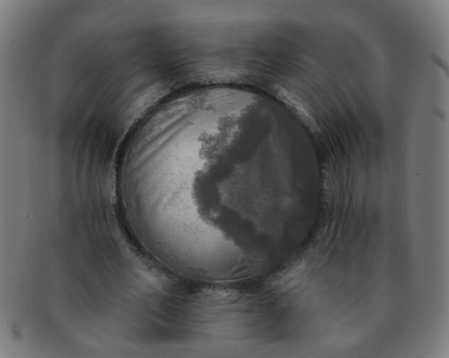 X0000091350582200708241249