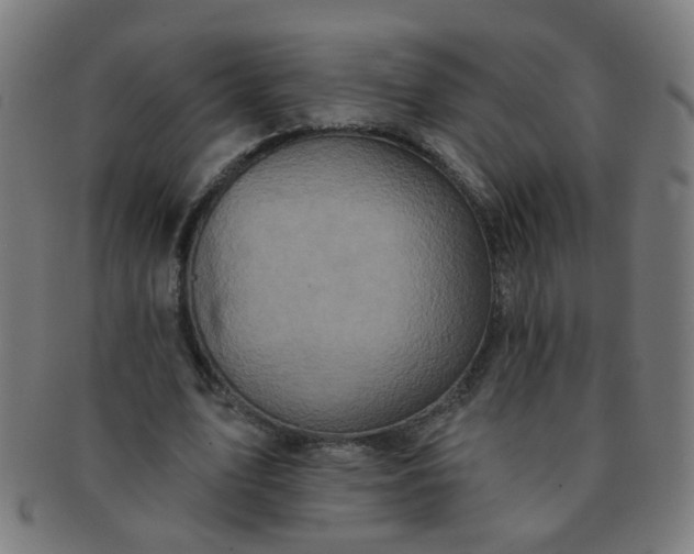 X0000091350583200708241249