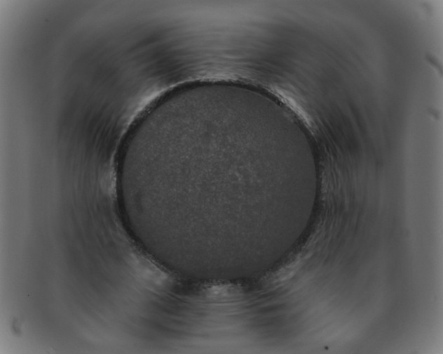 X0000091350584200708241249