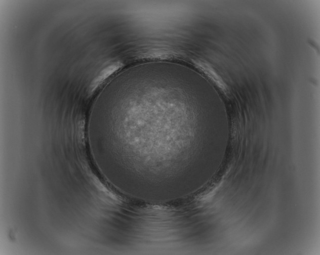 X0000091350585200708241249