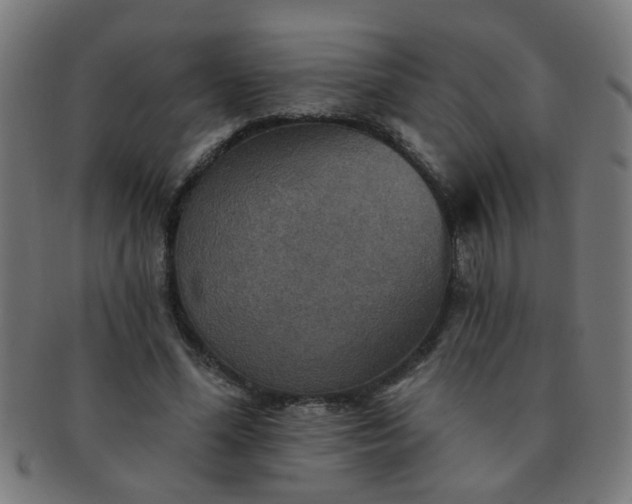 X0000091350588200708241249