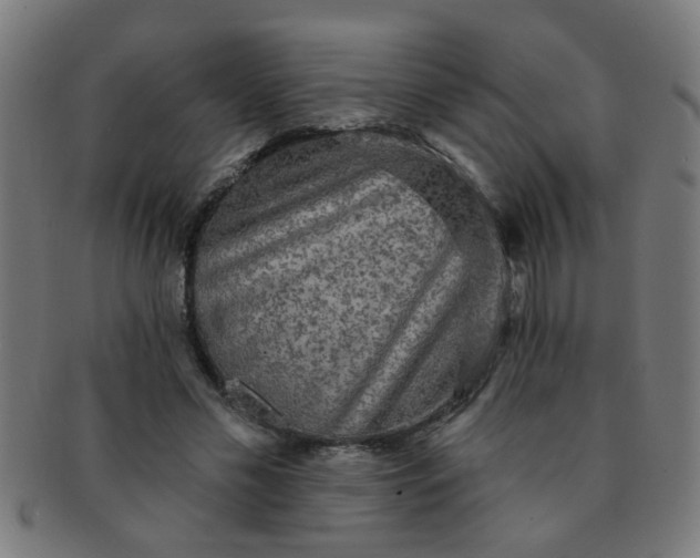 X0000091350589200708241249