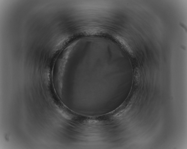X0000091350590200708241249