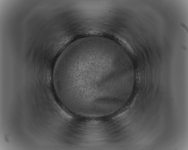 X0000091350593200708241249