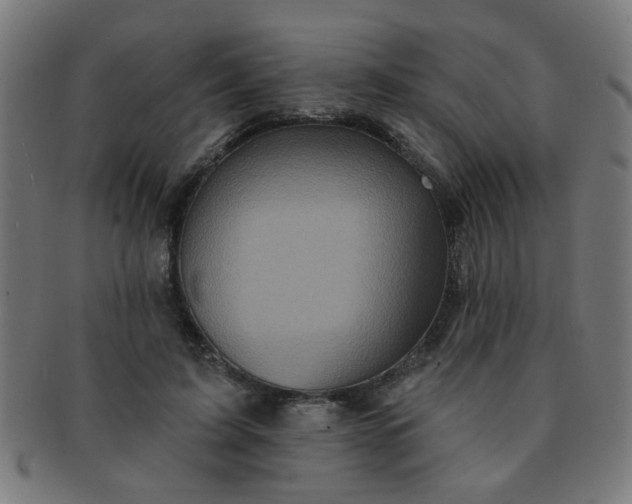 X0000091350595200708241249