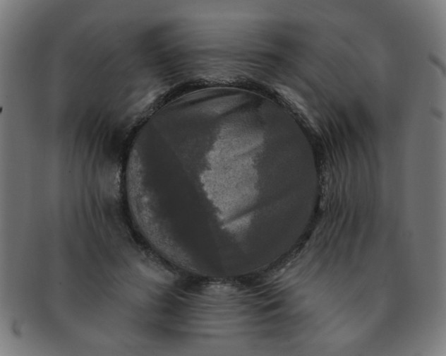 X0000091350596200708241249