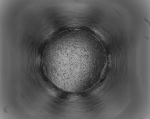 X0000091350597200708241249