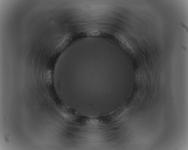 X0000091350598200708241248
