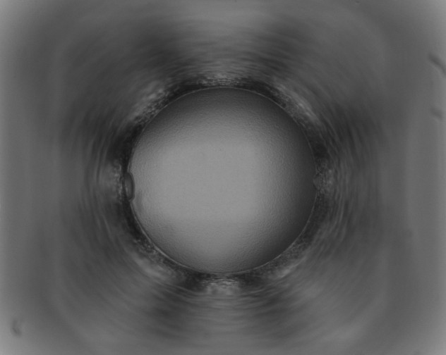 X0000091350599200708241248