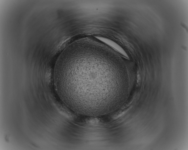 X0000091350600200708241248