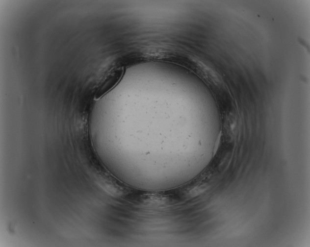 X0000091350601200708241248