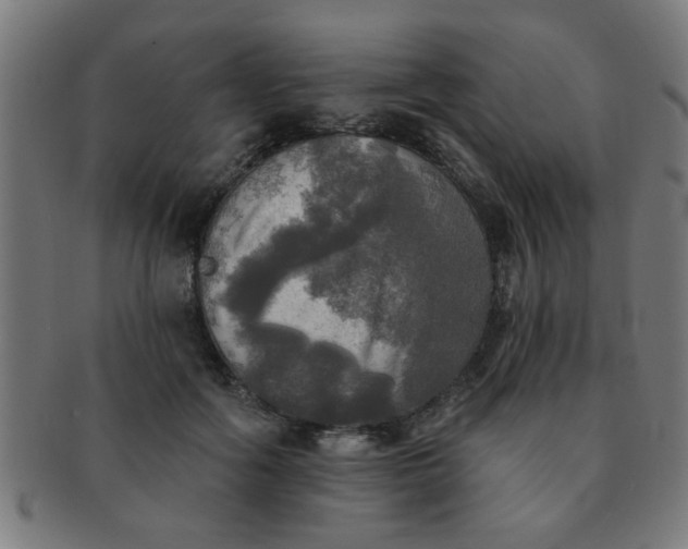 X0000091350602200708241248