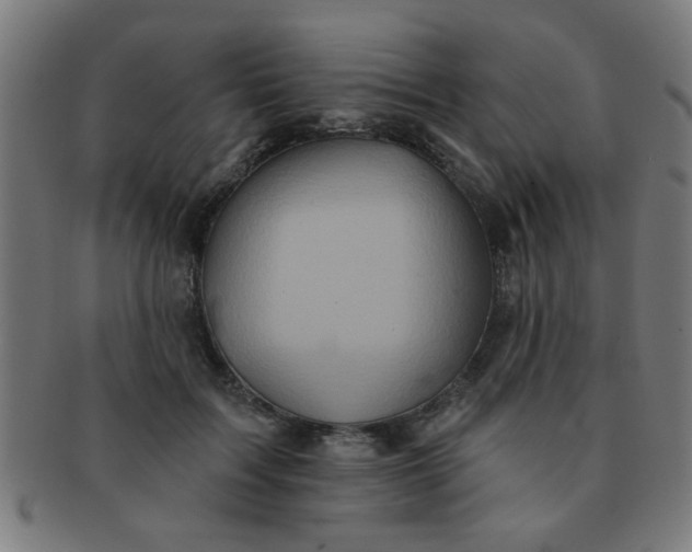 X0000091350603200708241248
