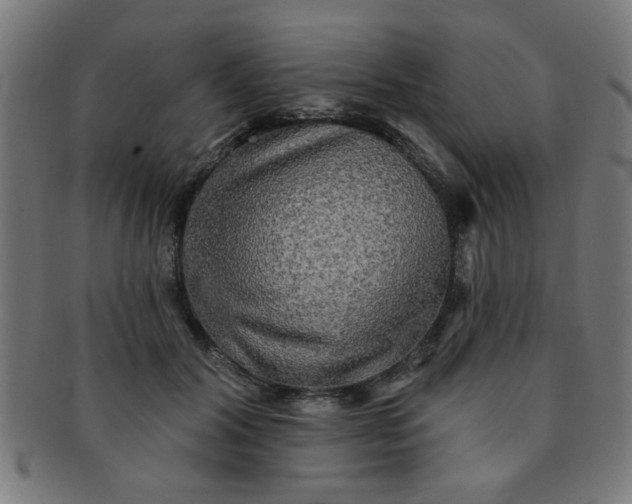 X0000091350604200708241248