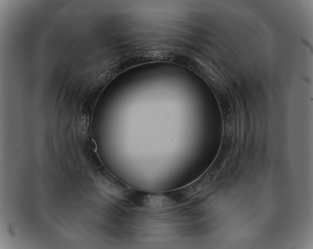 X0000091350605200708241248