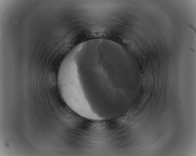 X0000091350606200708241248