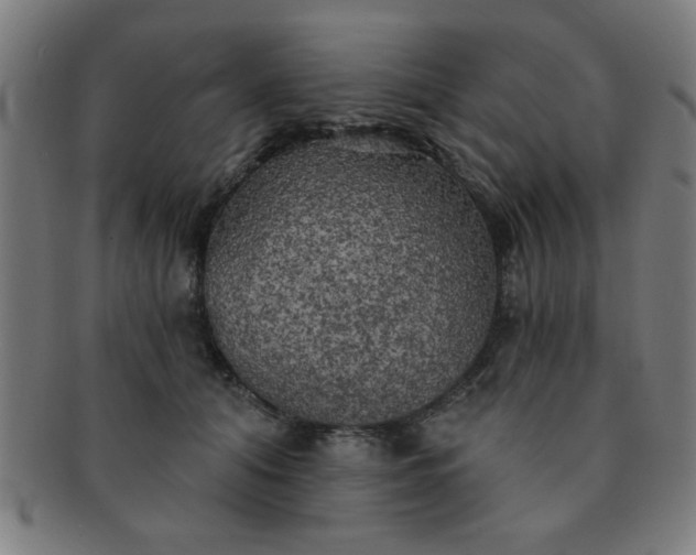 X0000091350608200708241248