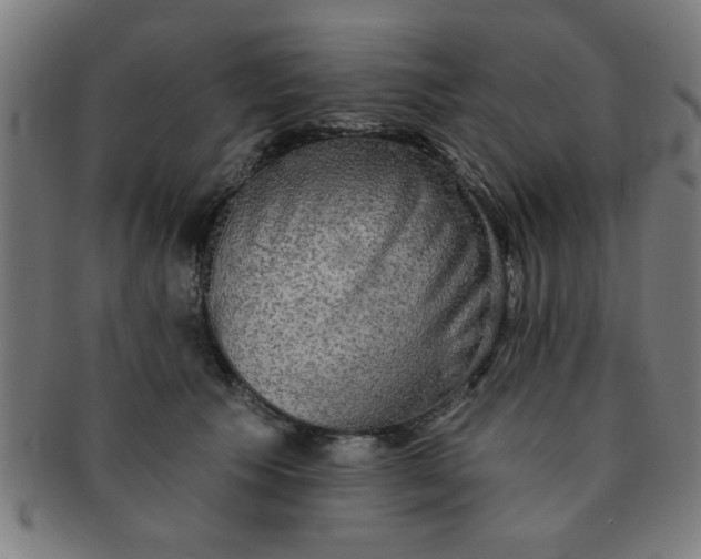 X0000091350609200708241248
