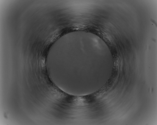 X0000091350610200708241248