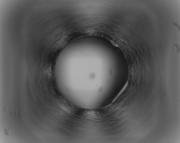 X0000091350611200708241248