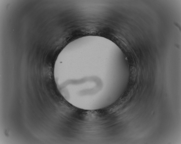 X0000091350612200708241248