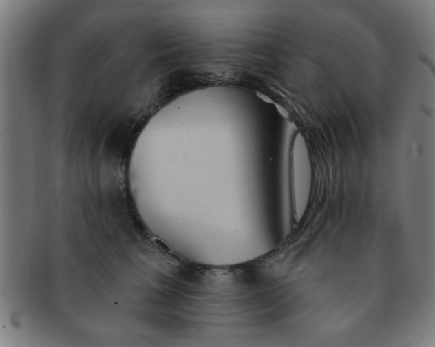 X0000091350613200708241248