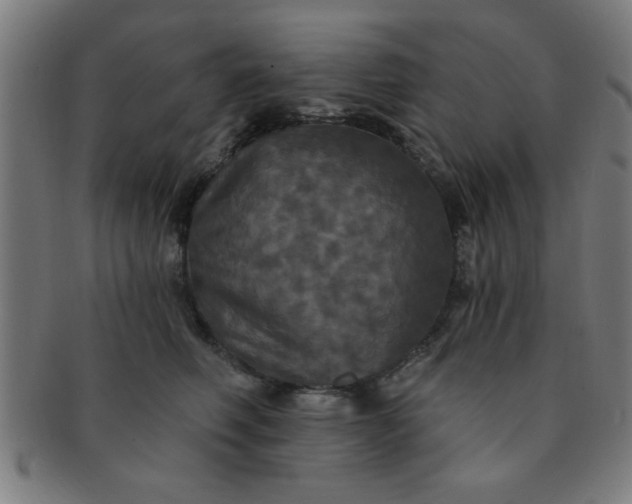 X0000091350614200708241248