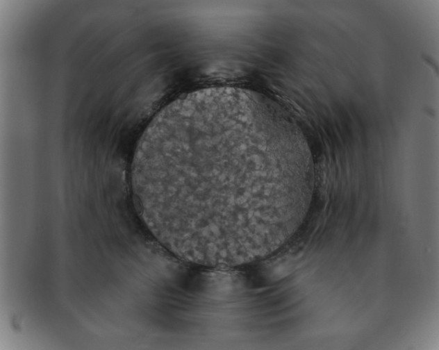 X0000091350615200708241248