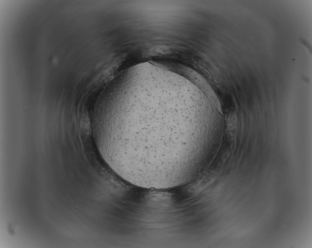 X0000091350617200708241248