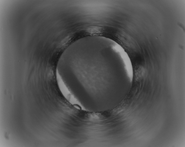 X0000091350618200708241248