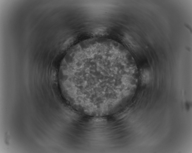 X0000091350619200708241248
