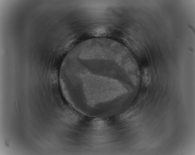 X0000091350620200708241248