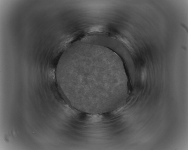 X0000091350621200708241248