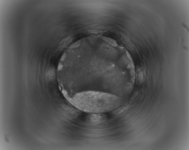 X0000091350623200708241248