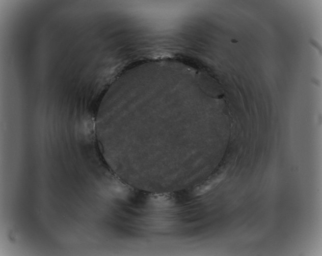 X0000091350624200708241248