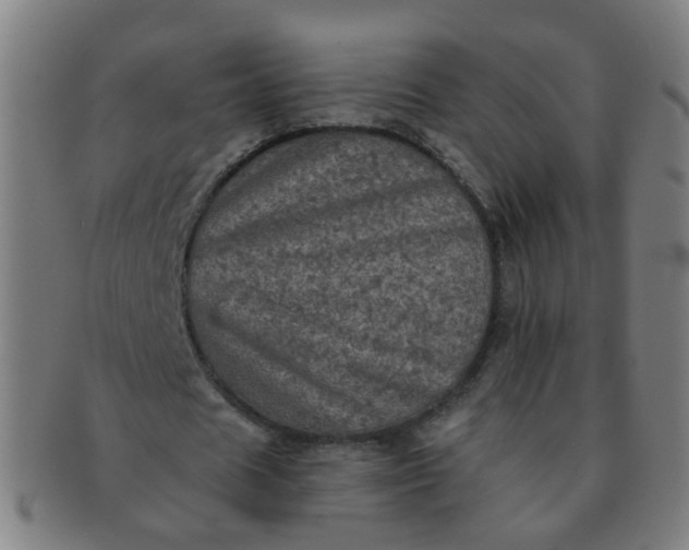 X0000091350625200708241247