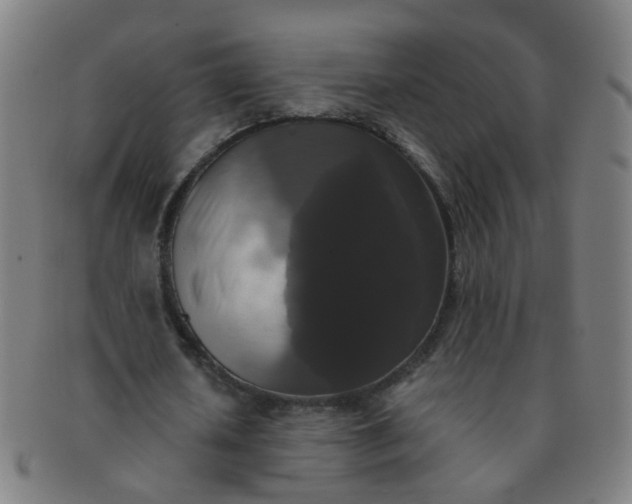 X0000091350626200708241247