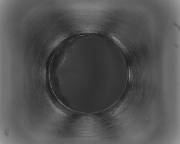 X0000091350627200708241247