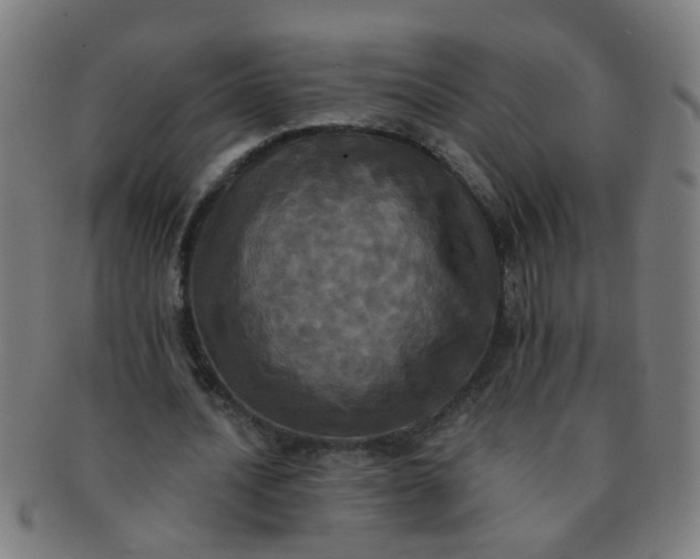 X0000091350628200708241247