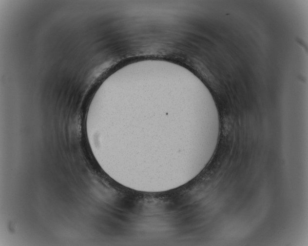 X0000091350632200708241247