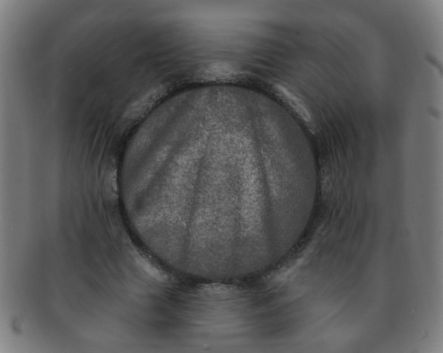 X0000091350633200708241247